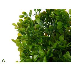 VASO PLASTICO PRETO GRANDE C PLANTAS VERDES SORT 3