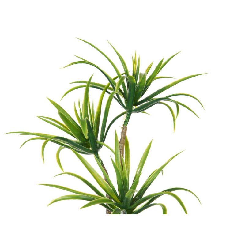 CEMENT POT GREEN PALM TREE MEDIUM