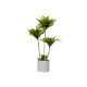 CEMENT POT GREEN PALM TREE GIANT