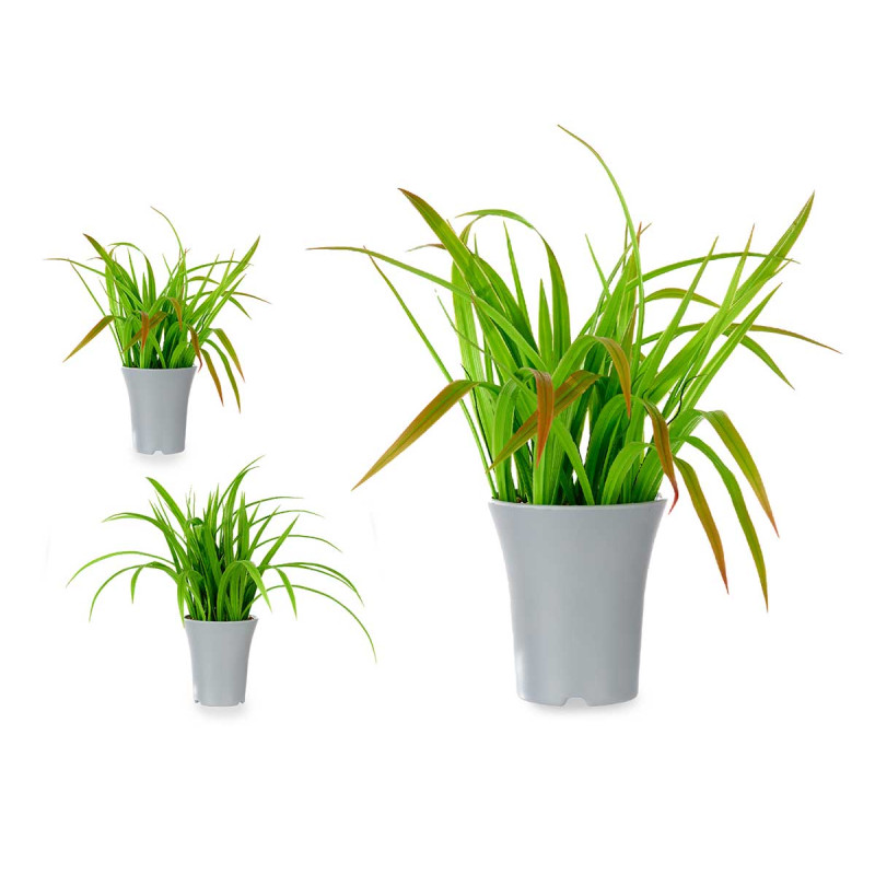 MACETA ALTA PLANTAS HOJAS SURT 2