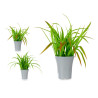 VASO ALTO PIANTE FOGLIE ASS 2