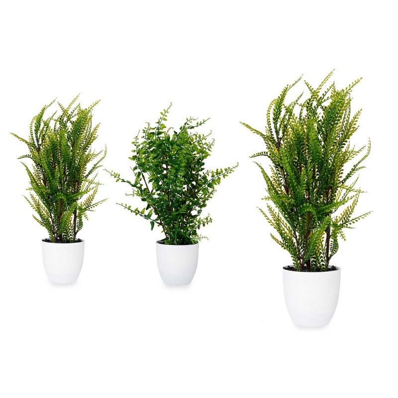 MACETA PLANTA HELECHOS VERDES SURT 2