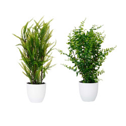 MACETA PLANTA HELECHOS VERDES SURT 2