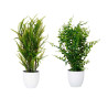 MACETA PLANTA HELECHOS VERDES SURT 2