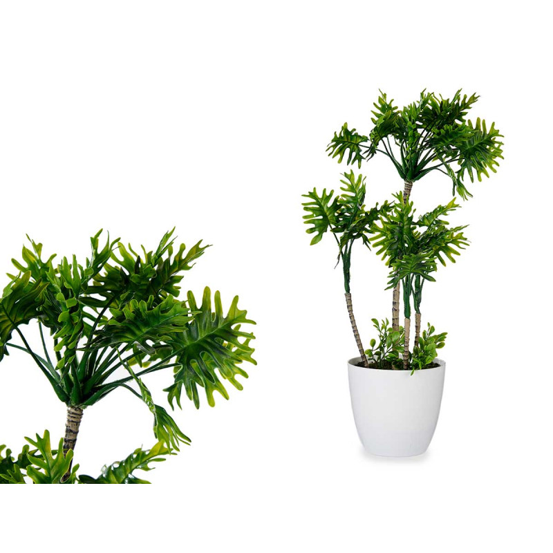 POT PLANT 4 GREEN PALM TREES TALL