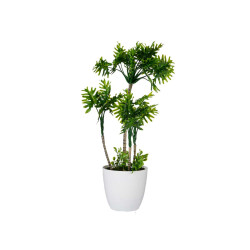 POT PLANT 4 GREEN PALM TREES TALL