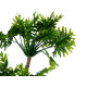 POT PLANTE HAUTE 4 PALMIERES VERTES