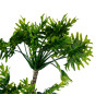 POT PLANT 4 GREEN PALM TREES TALL