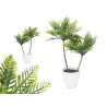 POT PLANT 2 GREEN PALM TREES TALL