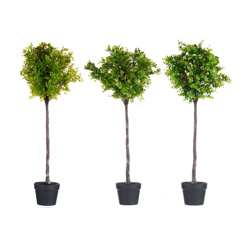 ARVORE VERDE SORT 4