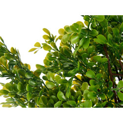 ARVORE VERDE SORT 4