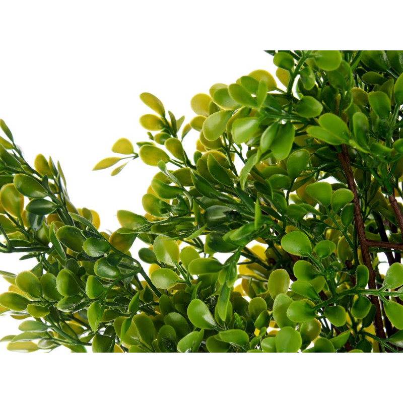 GREEN FERN TREE ASSORT 3