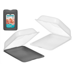 BOÎTE HAUTE PLASTIQUE ASSORTIE 2 COULEURS