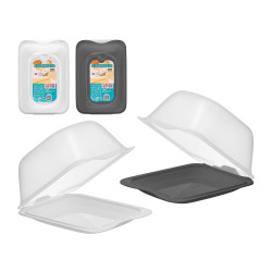 PLASTIC CHEESE BOX ASSORTED 2 COLOURS