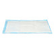 10 PIECES 40X60CM TRAINING PAD WITH ADHESIVE