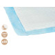 10 PIECES 40X60CM TRAINING PAD WITH ADHESIVE