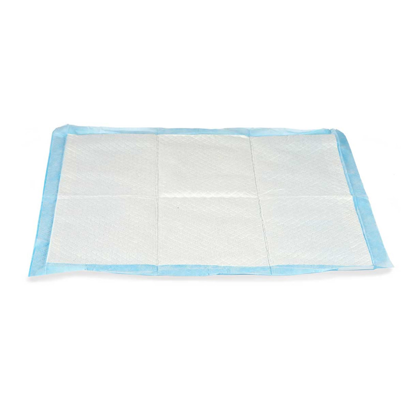 10 PIECES 60X60CM TRAINING PAD WITH ADHESIVE