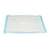 10 PIECES 60X60CM TRAINING PAD WITH ADHESIVE