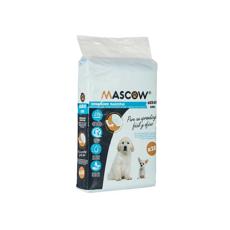 10 PIECES 60X60CM TRAINING PAD WITH ADHESIVE