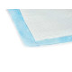 10 PIECES 60X60CM TRAINING PAD WITH ADHESIVE