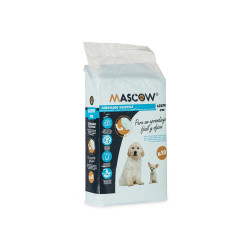 60X90CM 10 PCS SOAKER WITH ADHESIVE  