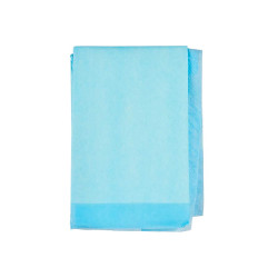 EMPAPADOR 10 PIEZAS 60X90CM CON ADHESIVO