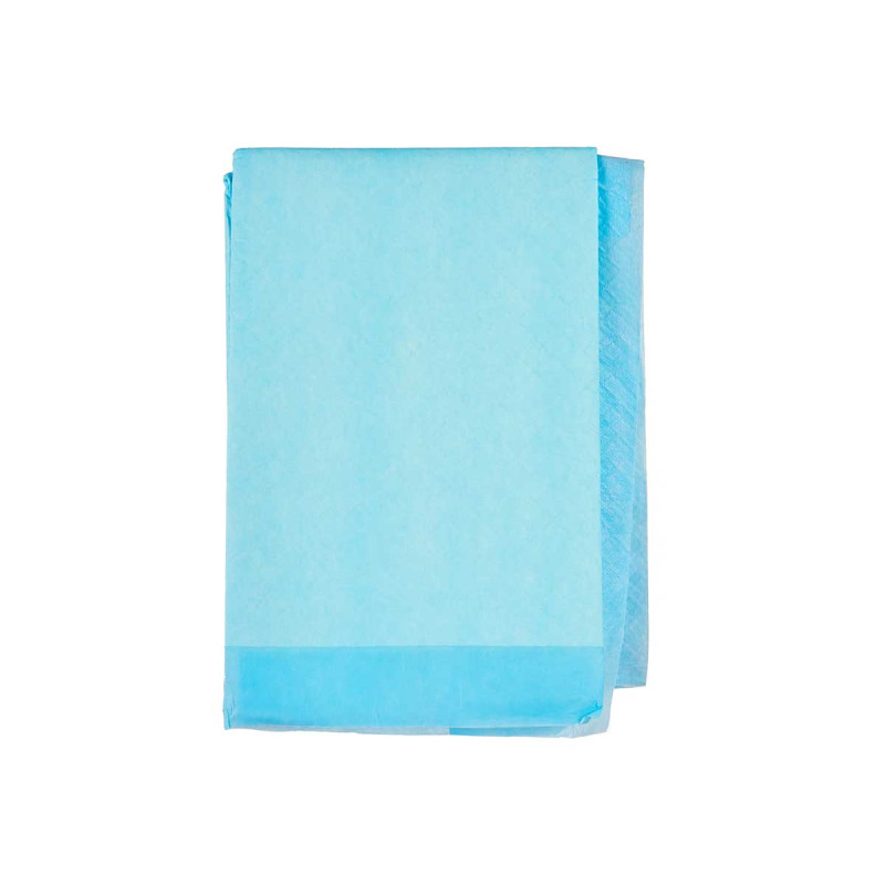 60X90CM 10 PCS SOAKER WITH ADHESIVE  