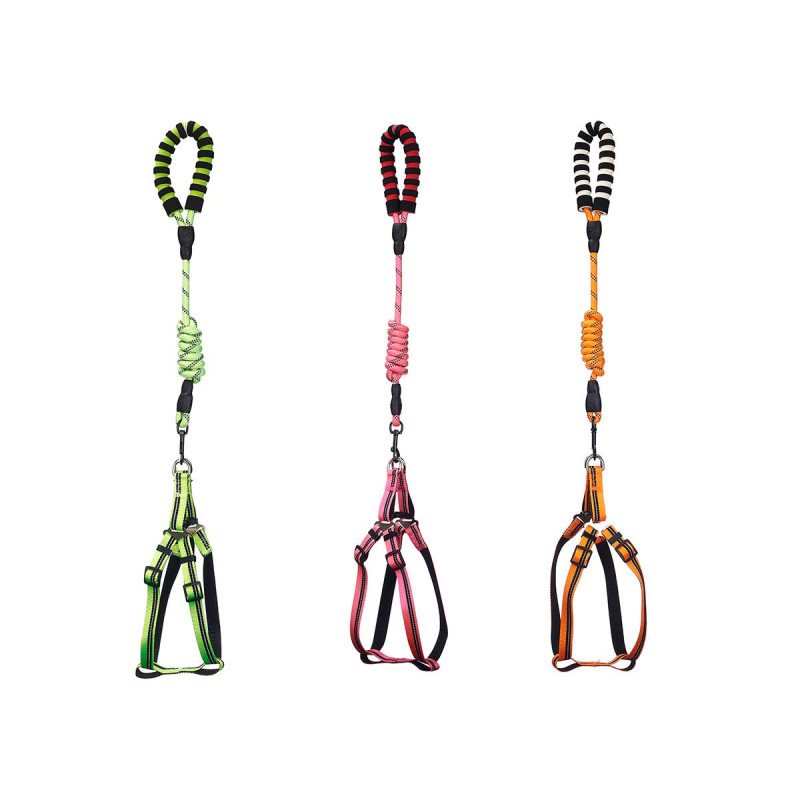 GUINZAGLIO PET 1,2 M PETTORINA RIFLET ASST 3