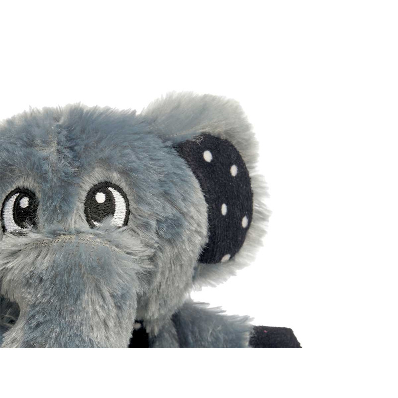 DENTITION TISSU ANIMAL SET 3