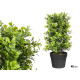 POT PLANT VERT PIERRE 48CM