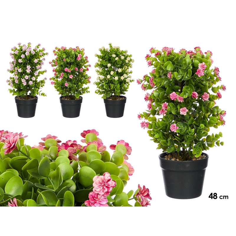 FLOWER POT ASRT 3 COL