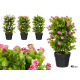 FLOWER POT ASRT 3 COL