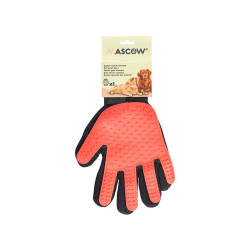 GANT ET BROSSE ANIMAUX ASSORT 3 COULEUR