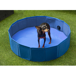 PISCINE CHIEN POLYESTER 80X20CM