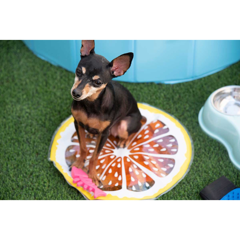 ALFOMBRA REFRESCANTE MASCOTA NARANJA 36CM