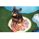 ALFOMBRA REFRESCANTE MASCOTA NARANJA 36CM