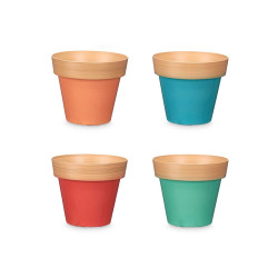 POT 25CM ASSORT 4 BICOLORE