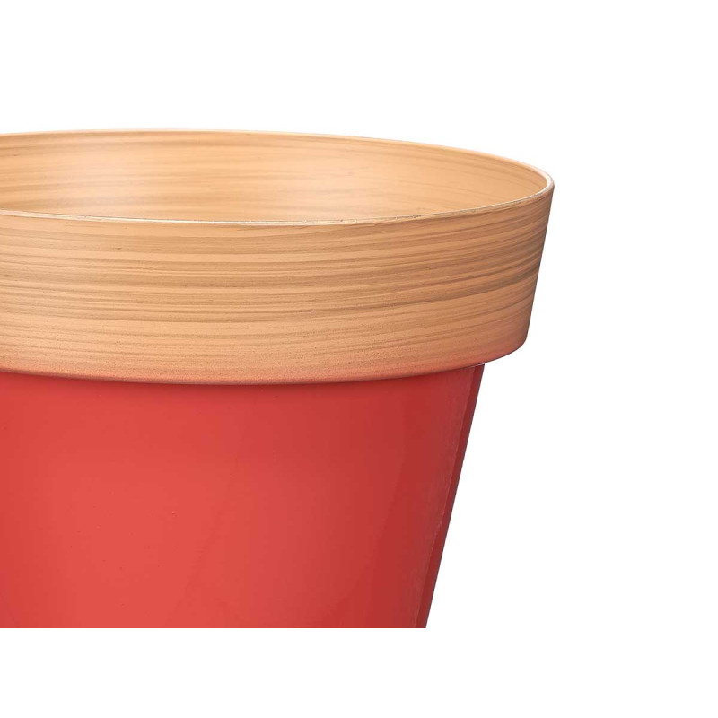 POT 25CM ASSORT 4 BICOLORE