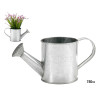 SMALL WATERING-CAN ZINC