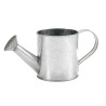 SMALL WATERING-CAN ZINC