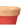 VASO 16CM SORT 4 BICOLOR