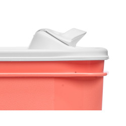 PORTA GAZPACHO PLASTICA ROSSA COPERCHIO TRASPARENT