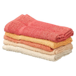 PANNO DA CUCINA COTONE 400 GR 50X50 ASS 5 TEGOLA