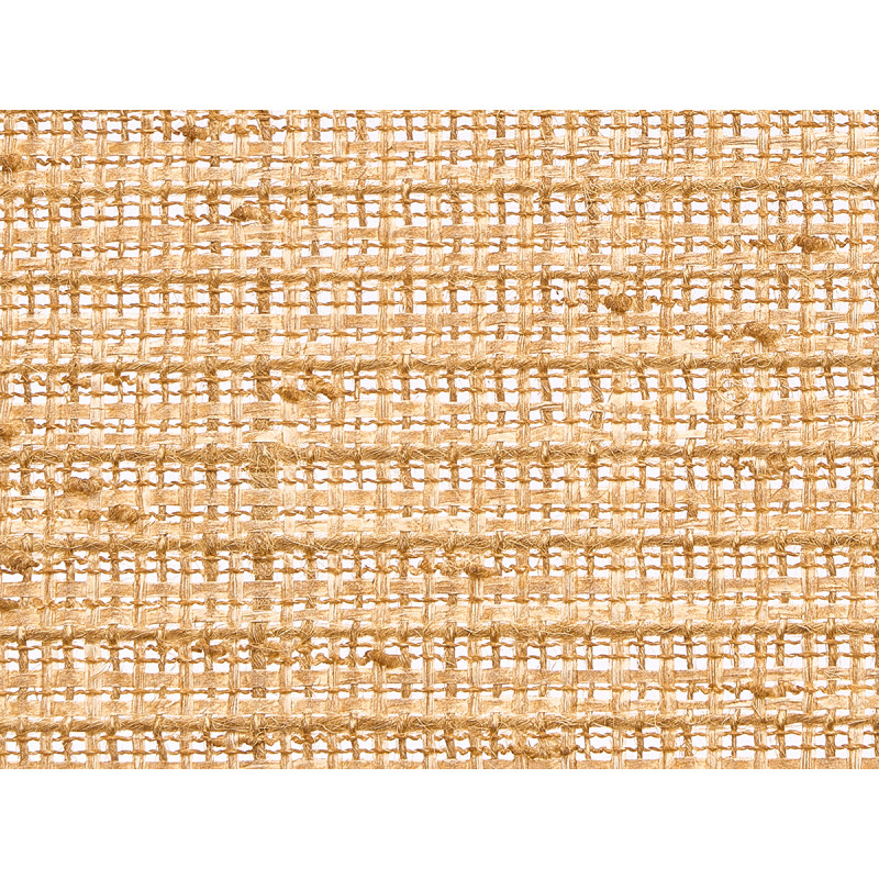 LAMPE PÉTALES TULIPE