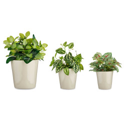 SET 3 VASI CERAMICA CONICO 14-17-22CM GRIGIO