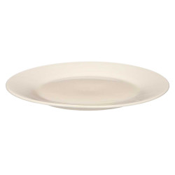 ASSIETTE PLATE PORCELAINE AILE 27CM