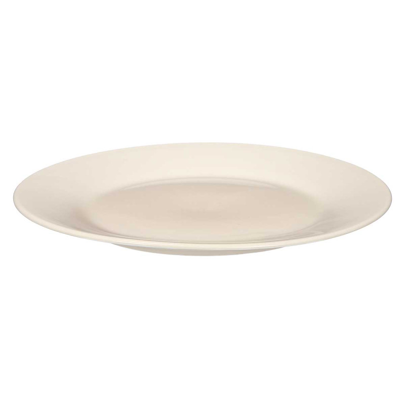 ASSIETTE PLATE PORCELAINE AILE 27CM