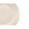 ASSIETTE PLATE PORCELAINE AILE 27CM