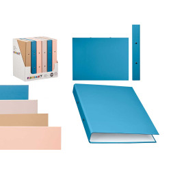 CARPESANO 2 ANILLAS A4 COLOR NEUTROS SURT 4