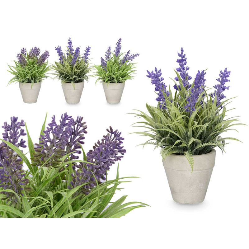 MACETA CEMENTO LAVANDA SURT 3 